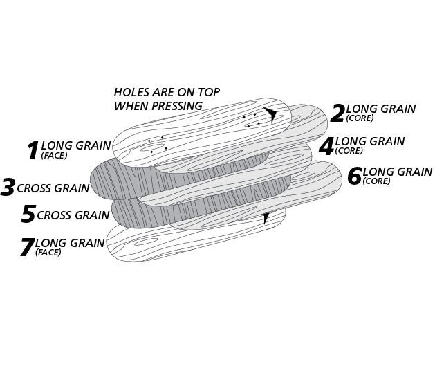 Veneer Roarockit Skateboard Europe